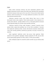 Apeliacinės instancijos teismo įgalinimai 2 puslapis