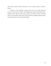 Apeliacinės instancijos teismo įgalinimai 13 puslapis