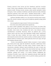 Apeliacinės instancijos teismo įgalinimai 5 puslapis