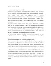 Atstovavimo teisme principai