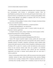 Atstovavimo teisme principai 4 puslapis