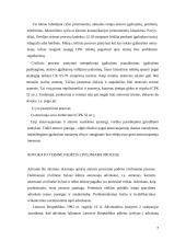 Atstovavimo teisme principai 7 puslapis