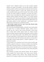 Civilinių bylų sprendimai 4 puslapis