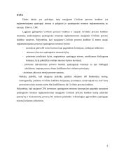 Bylų nagrinėjimas ypatingosios teisenos tvarka galiojančiame ir naujame CPK 2 puslapis