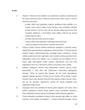 Bylų nagrinėjimas ypatingosios teisenos tvarka galiojančiame ir naujame CPK 12 puslapis