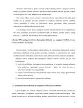 Bylų nagrinėjimas ypatingosios teisenos tvarka galiojančiame ir naujame CPK 4 puslapis