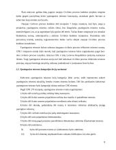 Bylų nagrinėjimas ypatingosios teisenos tvarka galiojančiame ir naujame CPK 6 puslapis