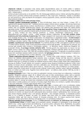 CP teisės dalykas ir sistema 4 puslapis