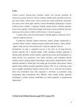 Civilinės bylos iškėlimo klausimas pagal CPK ir naują CPK 2 puslapis