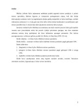 Civilinės bylos iškėlimo teisinės pasekmės 2 puslapis