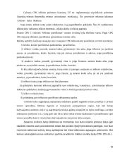 Civilinės bylos iškėlimo teisinės pasekmės 15 puslapis