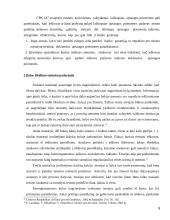 Civilinės bylos iškėlimo teisinės pasekmės 9 puslapis