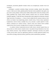 Forum non conveniens doktrinos taikymas Lietuvoje 19 puslapis