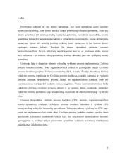 Išieškojimas iš skolininko turto 2 puslapis