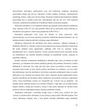 Išieškojimas iš skolininko turto 11 puslapis