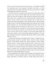 Išieškojimas iš skolininko turto 12 puslapis