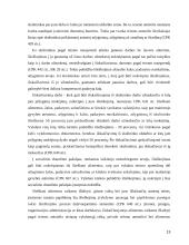 Išieškojimas iš skolininko turto 13 puslapis