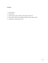 Išieškojimas iš skolininko turto 17 puslapis