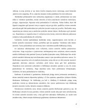 Išieškojimas iš skolininko turto 4 puslapis