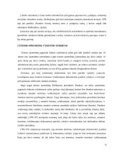 Išieškojimas iš skolininko turto 5 puslapis