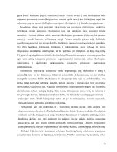 Išieškojimas iš skolininko turto 8 puslapis