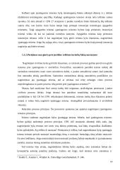 Bylų dėl juridinę reikšmę turinčių faktų nagrinėjimo ypatumai  14 puslapis