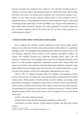 Bylų dėl juridinę reikšmę turinčių faktų nagrinėjimo ypatumai  4 puslapis