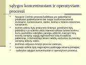 Koncentruotumo principas ypatingojoje teisenoje skaidrės 11 puslapis