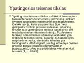 Koncentruotumo principas ypatingojoje teisenoje skaidrės 9 puslapis