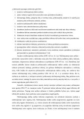 Laikinųjų apsaugos priemonių instituto ypatumai 12 puslapis