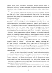 Laikinųjų apsaugos priemonių instituto ypatumai 13 puslapis