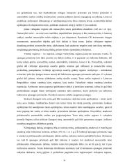 Laikinųjų apsaugos priemonių instituto ypatumai 14 puslapis