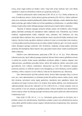 Laikinųjų apsaugos priemonių instituto ypatumai 17 puslapis