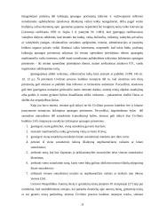 Laikinųjų apsaugos priemonių instituto ypatumai 20 puslapis