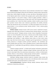 Laikinųjų apsaugos priemonių instituto ypatumai 3 puslapis