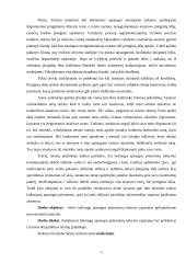 Laikinųjų apsaugos priemonių instituto ypatumai 4 puslapis