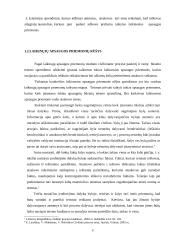 Laikinųjų apsaugos priemonių instituto ypatumai 8 puslapis