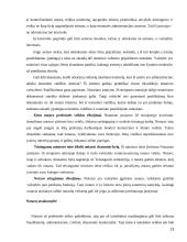 Notariato instituto savivalda 13 puslapis