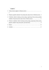 Prokuroro, valstybinio valdymo institucijų, įmonių, įstaigų, organizacijų ir fizinių asmenų, ginančių viešąjį interesą, dalyvavimas civiliniame procese 2 puslapis