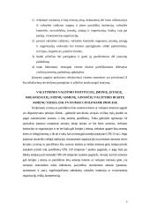 Prokuroro, valstybinio valdymo institucijų, įmonių, įstaigų, organizacijų ir fizinių asmenų, ginančių viešąjį interesą, dalyvavimas civiliniame procese 6 puslapis