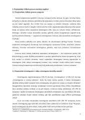 Tarptautinis civilinis procesas 3 puslapis