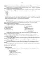 Darbo ir civilinės saugos reikalavimai 17 puslapis