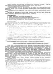 Darbo ir civilinės saugos reikalavimai 7 puslapis