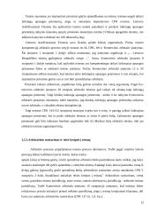 Tarptautinių privatinių ginčų sprendimo būdai. Kursinis darbas 12 puslapis