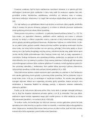 Tarptautinių privatinių ginčų sprendimo būdai. Kursinis darbas 8 puslapis