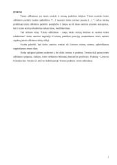 Teisės aiškinimo problema 2 puslapis