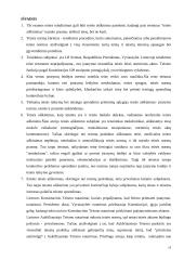 Teisės aiškinimo problema 16 puslapis