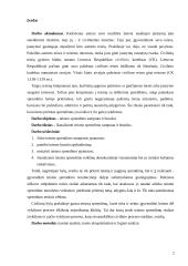 Teismo sprendimo samprata ir bruožai 2 puslapis