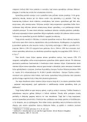 Teismo sprendimo samprata ir bruožai 15 puslapis