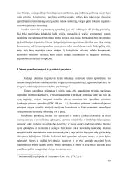 Teismo sprendimo samprata ir bruožai 19 puslapis